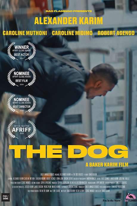 The Dog